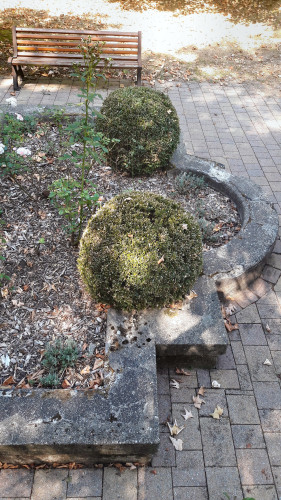 Beeteinfassung, Abdeckung aus Granit